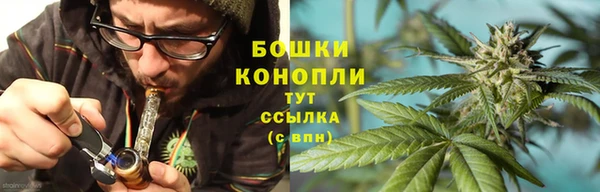 индика Волоколамск