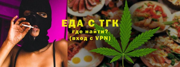 индика Волоколамск
