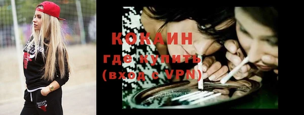 индика Волоколамск