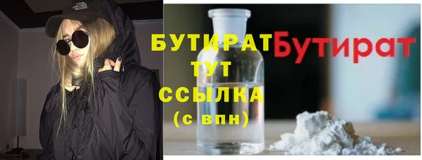 индика Волоколамск