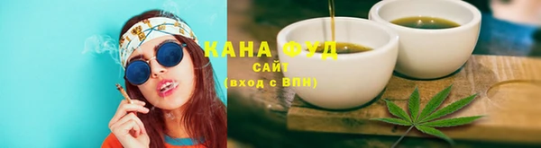 индика Волоколамск