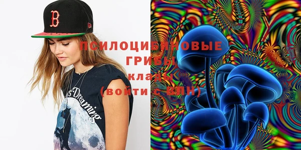 индика Волоколамск