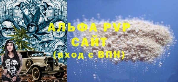 индика Волоколамск