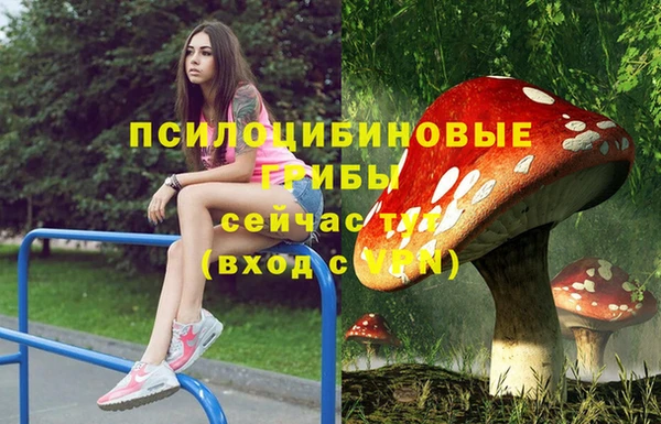 индика Волоколамск