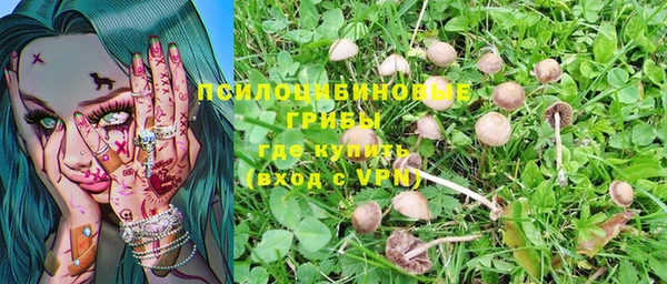 ПСИЛОЦИБИНОВЫЕ ГРИБЫ Володарск