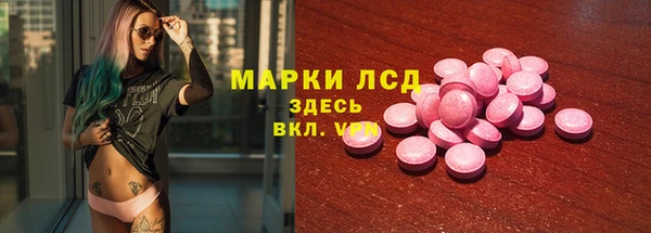 индика Волоколамск