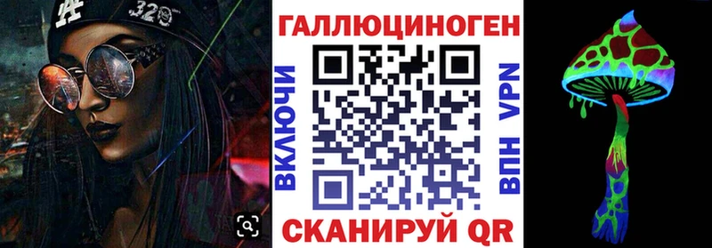 Псилоцибиновые грибы Psilocybe  Красный Холм 